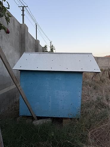 İt evi – taxta konstruksiyalı, ikitərəfli maili damlı - Material — 3