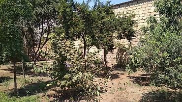 3 соток, Для строительства, Собственник, Купчая