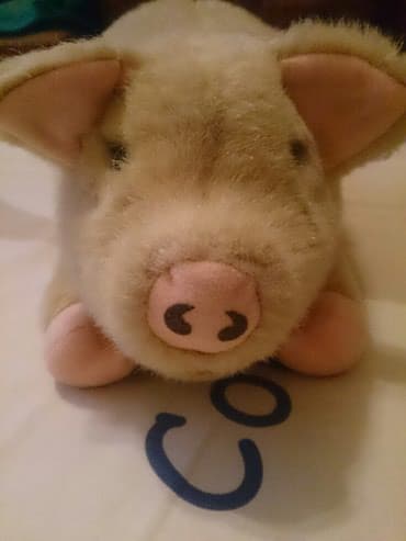 мягкая игрушка: Символ 2019 года, мягкая игрушка поросенок — 2