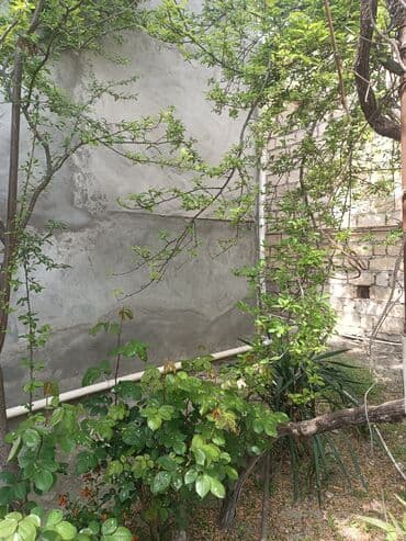 meyve tərəvəz: RT Arxasında körpüdən sağda 2 ci küçədə 2 mərtəbəli 8 otaqlı həyət evi — 24