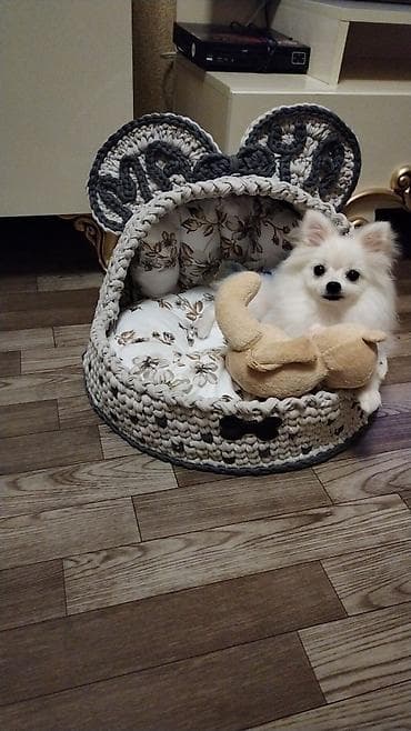 itler tap az: Şpitz, 3 il, Dişi, Peyvəndli, Ünvandan götürmə — 10