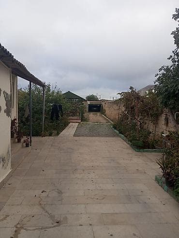 bineqedide satilan evler: 8 sot, Kənd təsərrüfatı, Mülkiyyətçi, Bələdiyyə — 3