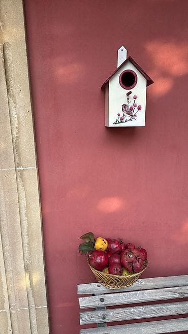derzi qusu: Quş yuvası Sağlam və uzunömürlü ekoloji təmiz . Səliqəli və zövqlü — 6