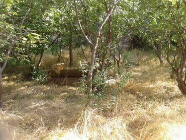 xırdalan kiraye evler: 13 sot, Tikinti, Mülkiyyətçi, Bələdiyyə — 17