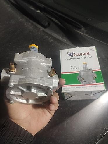 Ворота и комплектующие: Gassel Gas Pressure Regulator – qaz təzyiq tənzimləyicisi - Brend — 3