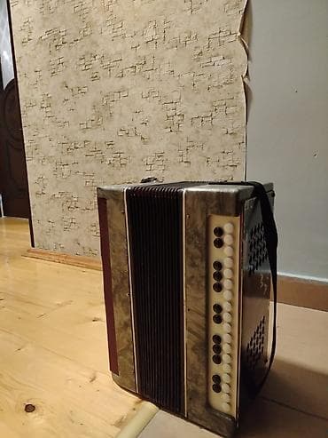 gitara akustik: Çox yaxşı vəziyyətdə, çatdırılma var — 6