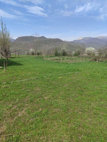 1 otaqlı kirayə: 200 kv. m, 2 otaqlı — 5