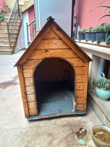 it yuvasi satilir: Taxta it evi.Temiz taxtadandir.Üzəri laklidir — 5