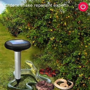 ilan gülü: İlan qovan, Yeni, Pulsuz çatdırılma — 4