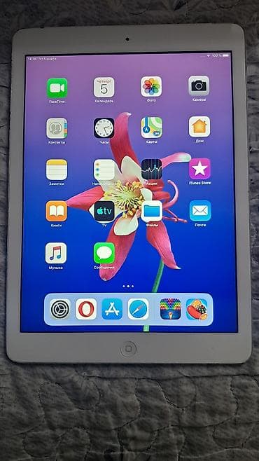 ipad 2020: İşlənmiş Apple iPad Air 4, 9,7", < 64 GB, Pulsuz çatdırılma — 5