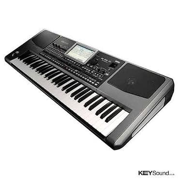 Sintezator, Korg, İşlənmiş