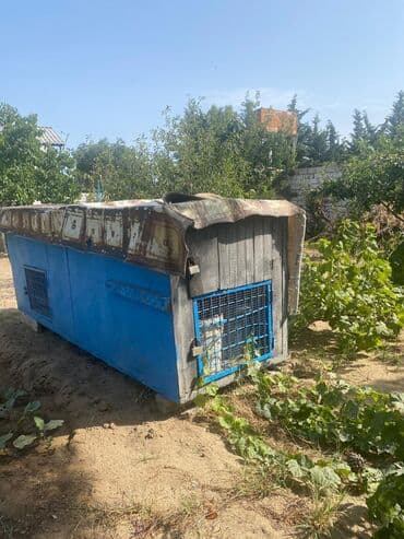Heyvan üçün toyuq,dovşan və başqa hin satılır.üstü demirdi su lalafo.az -da Heyvan üçün toyuq,dovşan və başqa hin satılır.üstü demirdi su