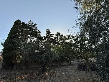 Квартиры: 14 соток, Для строительства, Купчая — 4