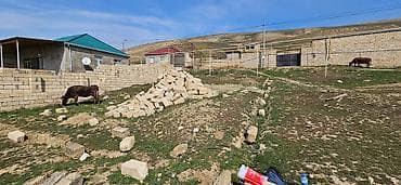 basavik satisi: 2 sot, Tikinti, Mülkiyyətçi, Kupça (Çıxarış), Texniki pasport — 3