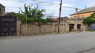 4 sot, Tikinti, Kupça (Çıxarış) — 1