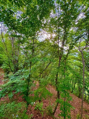 недвижимость в баку: 35 м², 1 комната, Комби, Электричество, Водопровод — 10