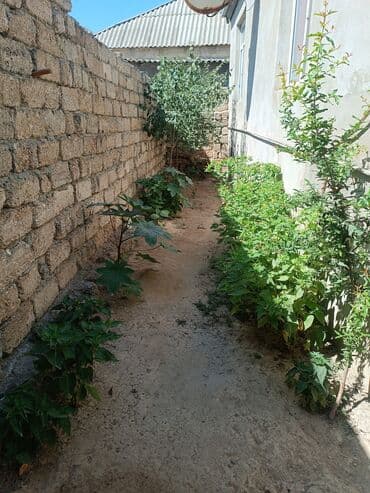 mingəçevir kirayə ev: Tecılı kirayə verilir.esyalidir,internetisuyu,işığı,qazı var.bine — 4