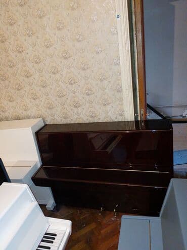 piano dersleri baki: Pianino PETROF Cexiya stehsalı .İdeal vəziyyədə. Cadrılma və köklənmə — 2