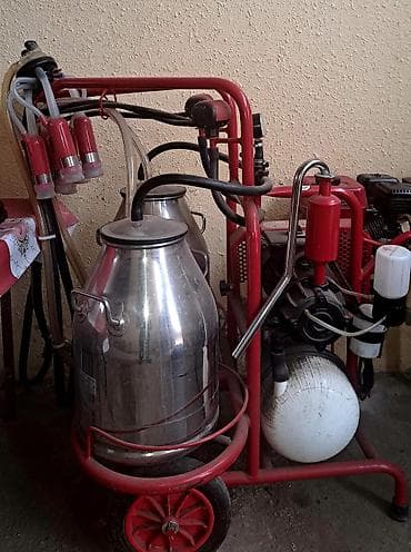 İnkubatorlar: Cüt bidon, Türkiyə, Paslanmaz bidon — 2