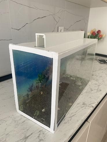 ikinci el akvaryum: Dördbucaq akvarium, Boş, 20 l, Ünvandan götürmə — 3