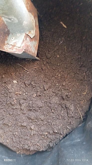 Torf balaken ekolayf perlitli torf peyin torpaq Məhsul: Bitki üçün