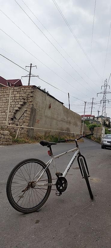 Şəhər velosipedləri: Məhsul: Olympia “Verba” şəhər/trek velosipedi - Çərçivə: polad — 2