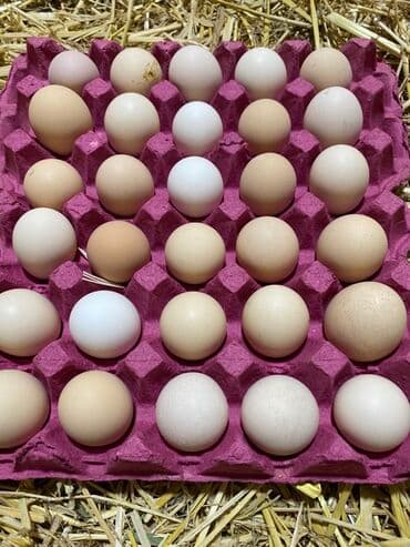 İçkilər: Salam temiz qan Xarkov mayali yumurtalari satilir say metudeti yoxdu — 5