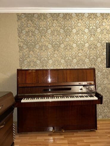 деревянные духовые музыкальные инструменты: Piano, Belarus, Akustik — 1