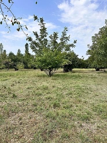 guzgu satışı: 60sot torpaq satilir Asvaltdan mesafə 400metr Dag menzereli Kommunal — 7