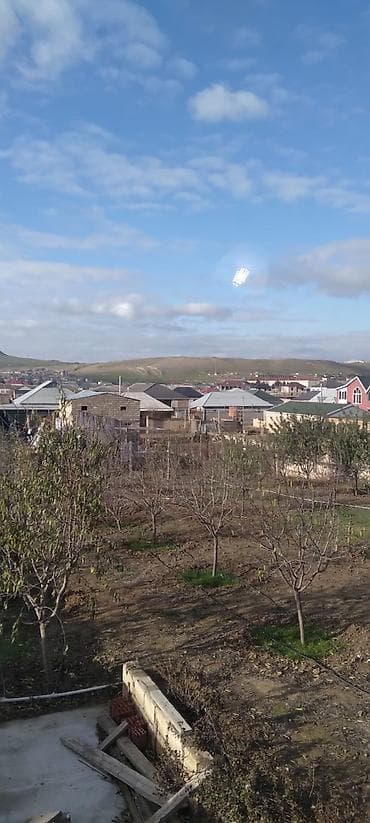 Удобрения: Əlli ədəd badam ağacı satıram on manatdan. 4 il ağacı — 6