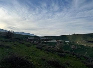ucuz kiraye ev: 300 sot, Biznes üçün, Barter mümkündür, Kupça (Çıxarış) — 4