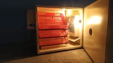 inqubator satisi: Qəbələdə 400 yumurtalıq əla keyfiyyətli yeni inkubator satılır — 5