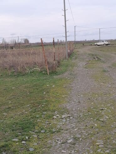 20 sot, Tikinti, Mülkiyyətçi, Kupça (Çıxarış)