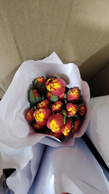 Букетные цветы: Тюльпаны
срезки
несколько расцветок
возможно составление букетов — 2