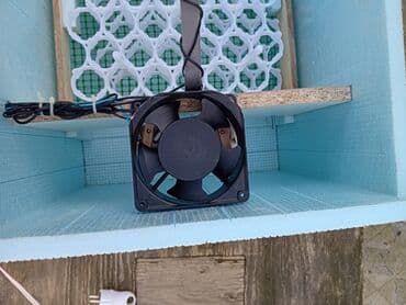 i̇nqibator: Mexaniki 120 yumurta tutumlu inkubator.Mexanikidir Gunde 2 defe — 6