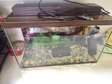 akvarium filter: Akvaryum dəsti - Şüşə akvaryum, taxta teksturalı üst və alt çərçivə — 2