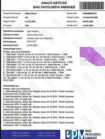 baytar həkim: Xidmət: Tibbi analizlər və patoloji nəticələrin tərcüməsi — 1