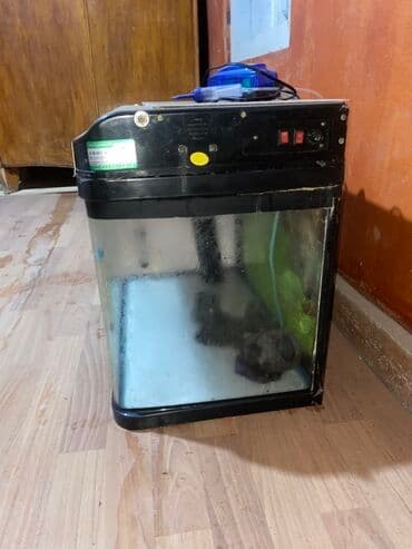 syomqa baliq: Dördbucaq akvarium, Boş, 100 l, Ödənişli çatdırılma — 3