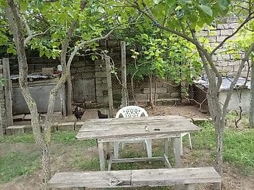 torpaqlarin satisi: 5 sot, Kənd təsərrüfatı, Mülkiyyətçi, Kupça (Çıxarış) — 3