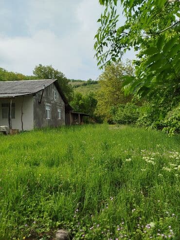 3 комнатная квартира: 24 sot, Tikinti, Mülkiyyətçi, Kupça (Çıxarış) — 11