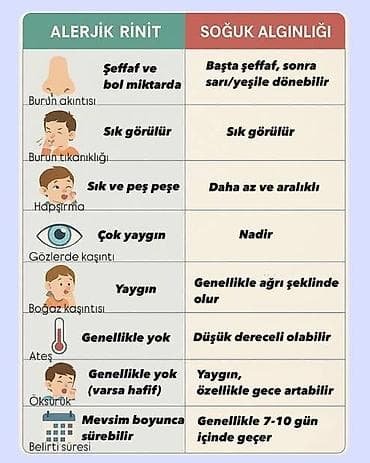 alma tozu: Məhsul: Burun axıntısı və selik rəngləri haqqında maarifləndirici — 5