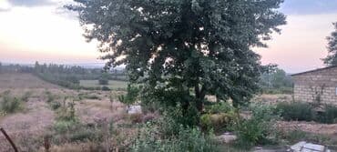 mağaza üçün yer icarəyə götürürəm: Ünvan: Qusar şəhəri Ləyər kəndi (ləzgi ləyər) 1hk 68 sot bağ yeri — 20