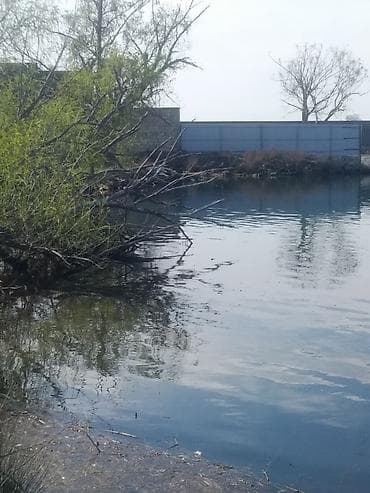 rayon kiraye evler: Satılır: göl - Birbaşa su hövzəsinə çıxışı olan sahə; sahil xətti — 3
