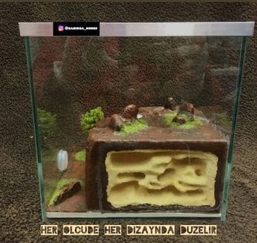 it üçün ev: Hər ölçüdə hər dizaynda qarışqa yuvaları yığılır səliqəli və təmiz — 19