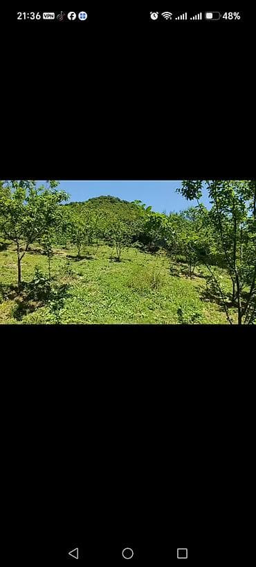 sumqayıtda torpaq: 4 sot, Tikinti, Mülkiyyətçi, Kupça (Çıxarış) — 2