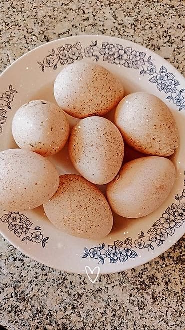 30 yas sekilleri: Təbii kənd yumurtası - Rəngli xallı, qalın qabıqlı, orta/böyük ölçülü — 1