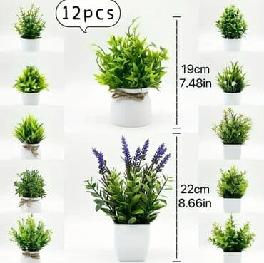 dekarativ guller: 🌸 İstədiyiniz dibçəyi, istədiyiniz ölçüdə yığırıq! 🏡 Evlər, ofislər — 5