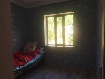 hovsan kupcali heyet evi: Bağ evi/həyətyanı sahə - Geniş həyət: yaşıllıq, ağaclar və dekorativ — 10