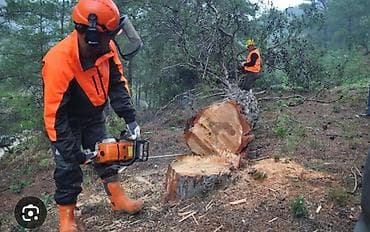 su filteri ustasi: Ağac kesmek budamaq işləri görülür.🪚 Kotukleri səliqəli dogramaq qol — 2