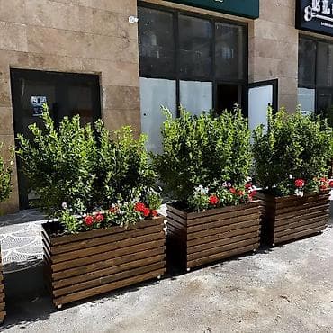 Горшки для растений: Istəyiniz ölçüde istehsal edirik rəng seçimi var, 5 ededen cox olduqda — 2